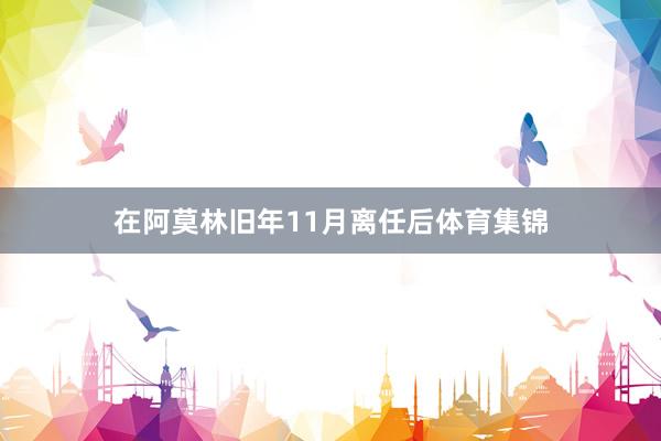 在阿莫林旧年11月离任后体育集锦
