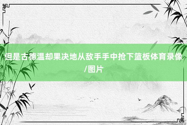 但是古德温却果决地从敌手手中抢下篮板体育录像/图片