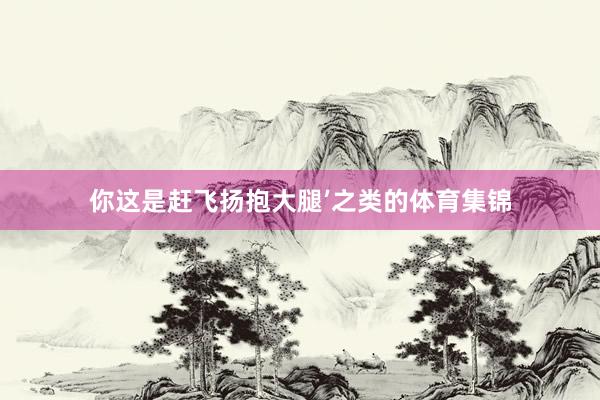 你这是赶飞扬抱大腿’之类的体育集锦