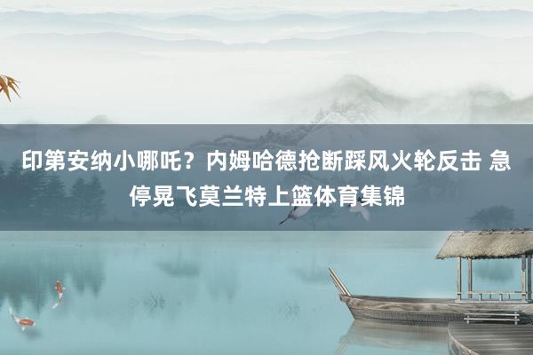 印第安纳小哪吒？内姆哈德抢断踩风火轮反击 急停晃飞莫兰特上篮体育集锦