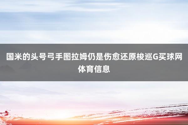 国米的头号弓手图拉姆仍是伤愈还原梭巡G买球网体育信息