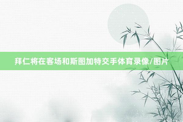 拜仁将在客场和斯图加特交手体育录像/图片