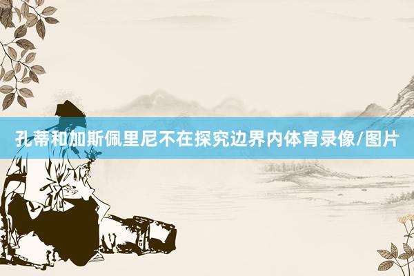 孔蒂和加斯佩里尼不在探究边界内体育录像/图片