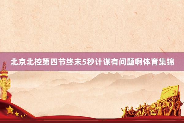 北京北控第四节终末5秒计谋有问题啊体育集锦
