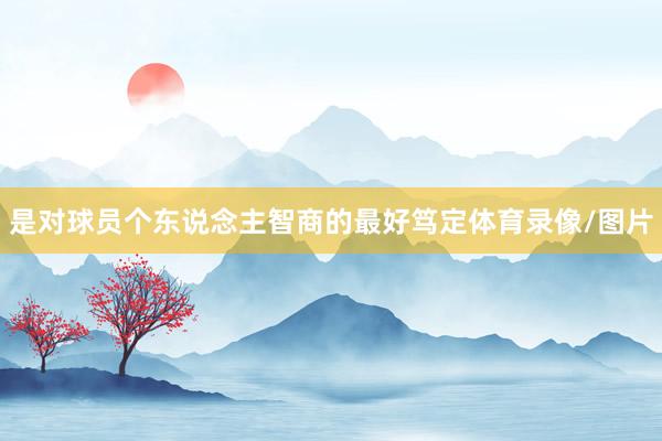 是对球员个东说念主智商的最好笃定体育录像/图片