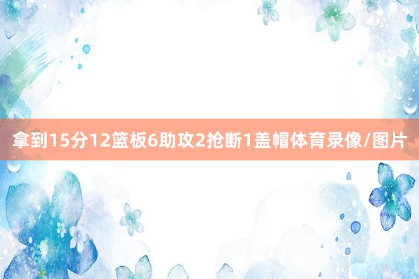 拿到15分12篮板6助攻2抢断1盖帽体育录像/图片
