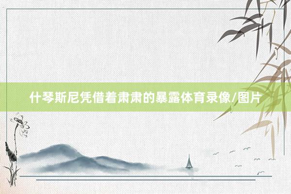 什琴斯尼凭借着肃肃的暴露体育录像/图片