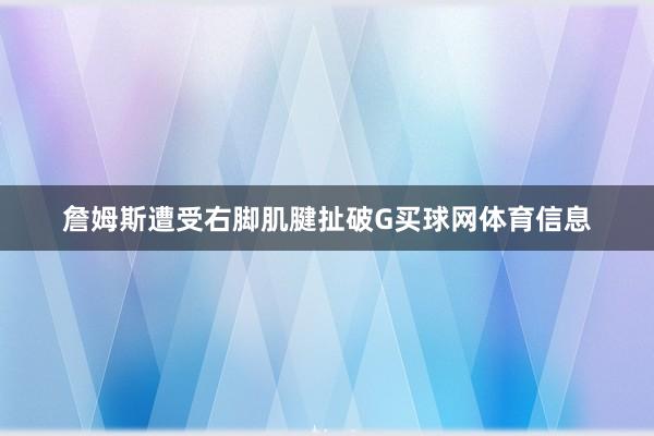 詹姆斯遭受右脚肌腱扯破G买球网体育信息
