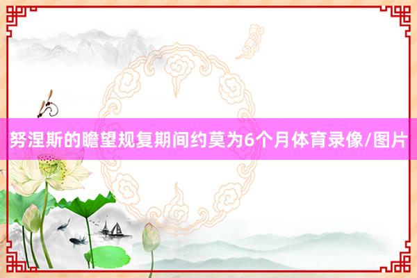 努涅斯的瞻望规复期间约莫为6个月体育录像/图片
