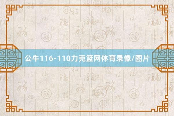 公牛116-110力克篮网体育录像/图片