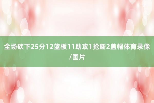 全场砍下25分12篮板11助攻1抢断2盖帽体育录像/图片