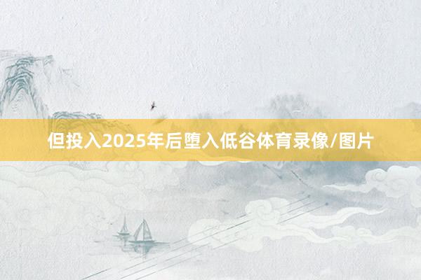 但投入2025年后堕入低谷体育录像/图片