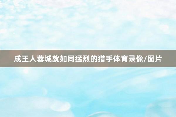 成王人蓉城就如同猛烈的猎手体育录像/图片