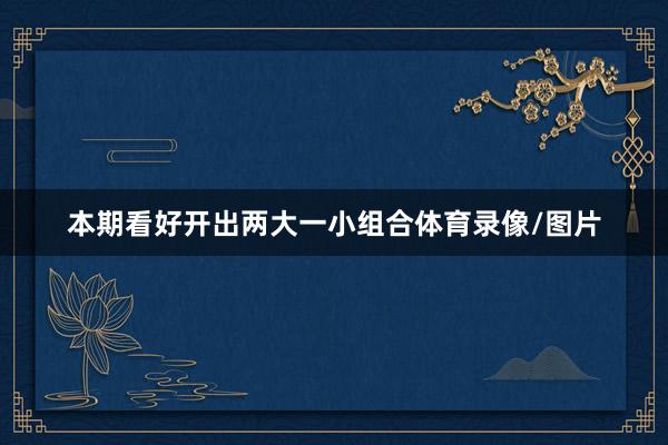 本期看好开出两大一小组合体育录像/图片