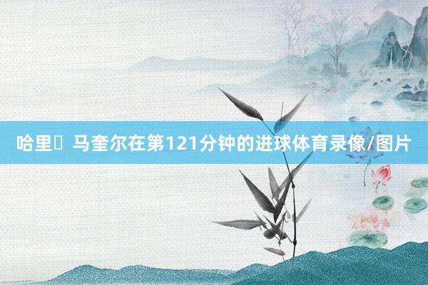 哈里・马奎尔在第121分钟的进球体育录像/图片