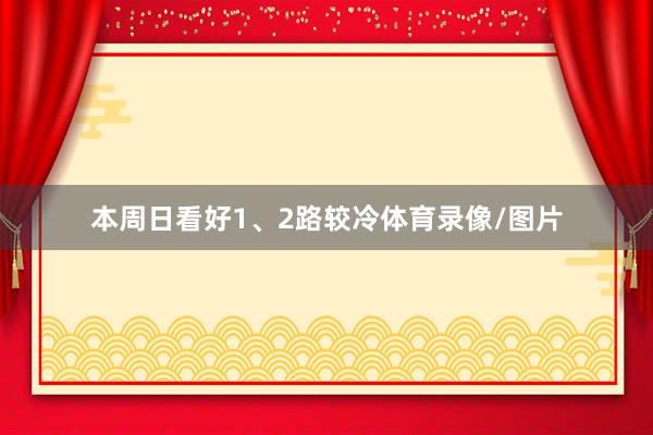 本周日看好1、2路较冷体育录像/图片