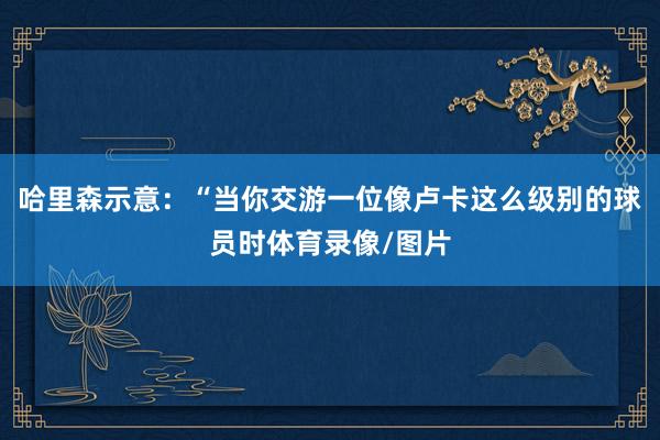 哈里森示意：“当你交游一位像卢卡这么级别的球员时体育录像/图片