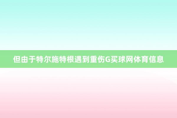 但由于特尔施特根遇到重伤G买球网体育信息