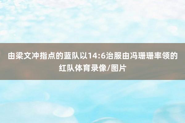 由梁文冲指点的蓝队以14:6治服由冯珊珊率领的红队体育录像/图片