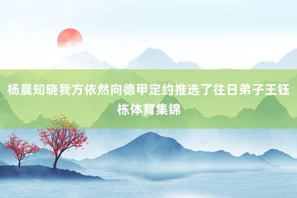 杨晨知晓我方依然向德甲定约推选了往日弟子王钰栋体育集锦
