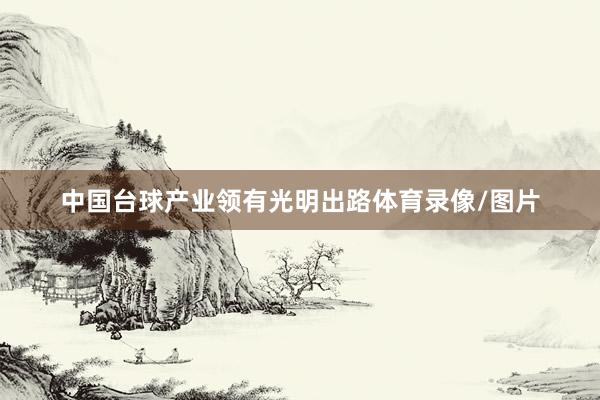 中国台球产业领有光明出路体育录像/图片