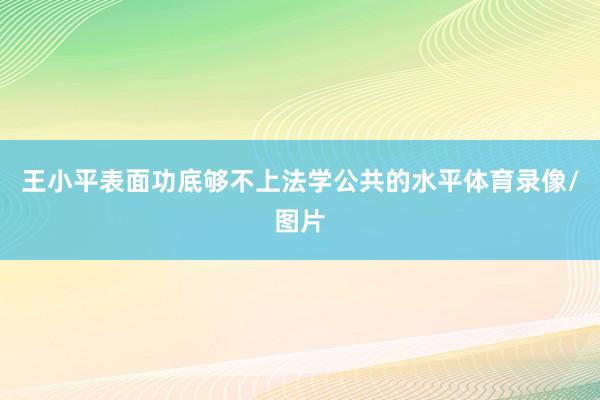 王小平表面功底够不上法学公共的水平体育录像/图片