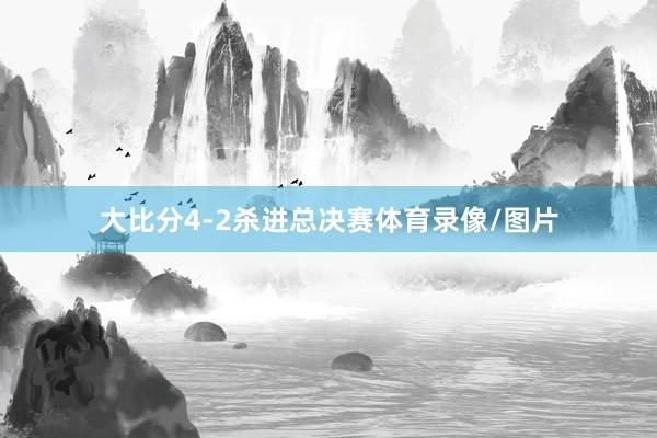 大比分4-2杀进总决赛体育录像/图片