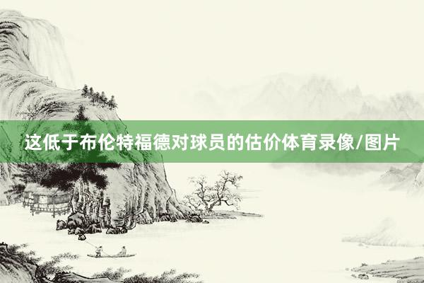 这低于布伦特福德对球员的估价体育录像/图片