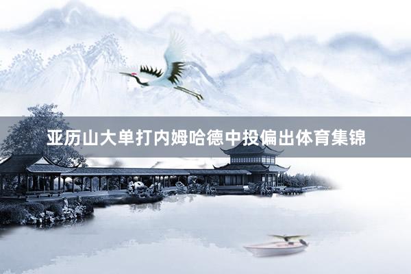 亚历山大单打内姆哈德中投偏出体育集锦