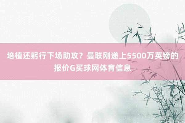 培植还躬行下场助攻？曼联刚递上5500万英镑的报价G买球网体育信息