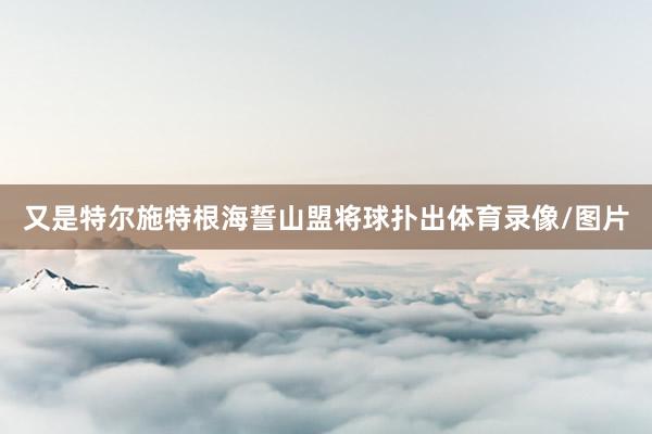 又是特尔施特根海誓山盟将球扑出体育录像/图片
