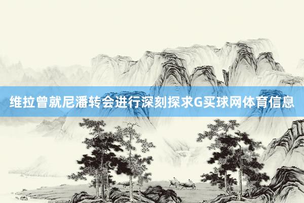 维拉曾就尼潘转会进行深刻探求G买球网体育信息