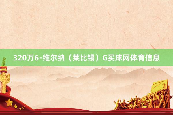 320万6-维尔纳（莱比锡）G买球网体育信息