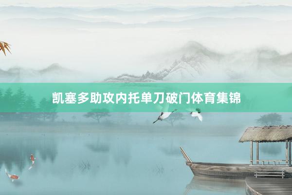 凯塞多助攻内托单刀破门体育集锦