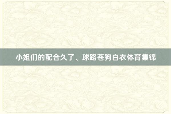 小姐们的配合久了、球路苍狗白衣体育集锦