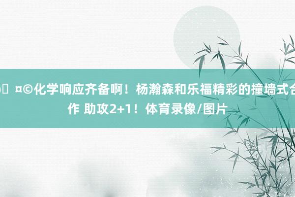 🤩化学响应齐备啊！杨瀚森和乐福精彩的撞墙式合作 助攻2+1！体育录像/图片