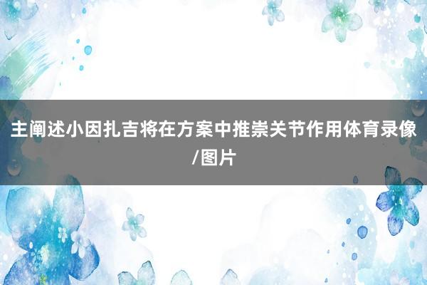 主阐述小因扎吉将在方案中推崇关节作用体育录像/图片