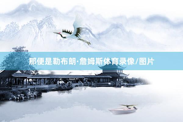 那便是勒布朗·詹姆斯体育录像/图片
