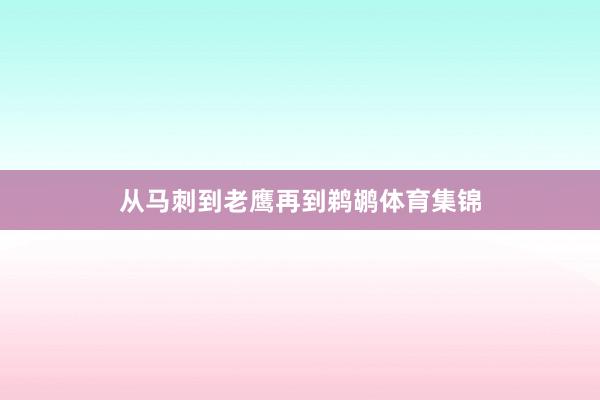 从马刺到老鹰再到鹈鹕体育集锦