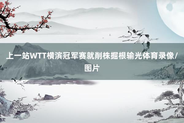 上一站WTT横滨冠军赛就削株掘根输光体育录像/图片