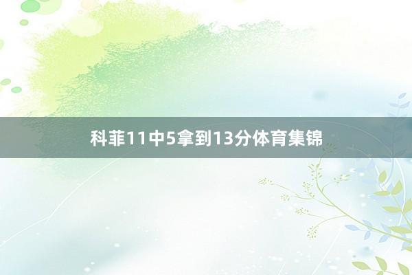 科菲11中5拿到13分体育集锦