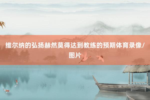 维尔纳的弘扬赫然莫得达到教练的预期体育录像/图片
