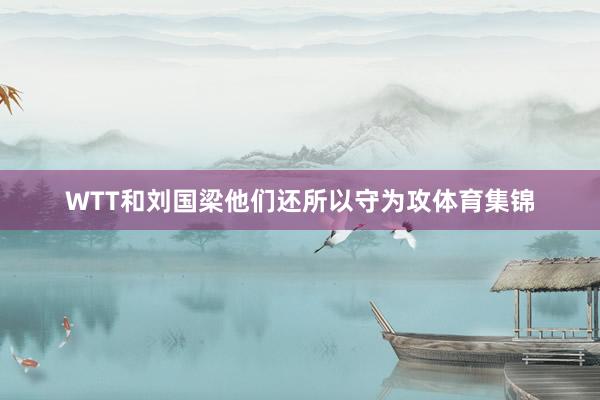 WTT和刘国梁他们还所以守为攻体育集锦