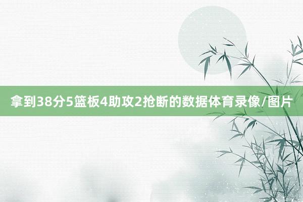 拿到38分5篮板4助攻2抢断的数据体育录像/图片