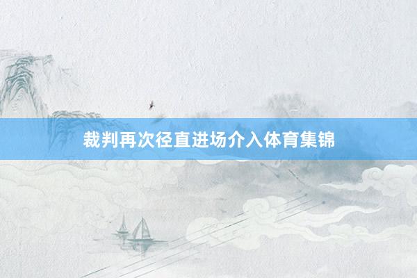 裁判再次径直进场介入体育集锦