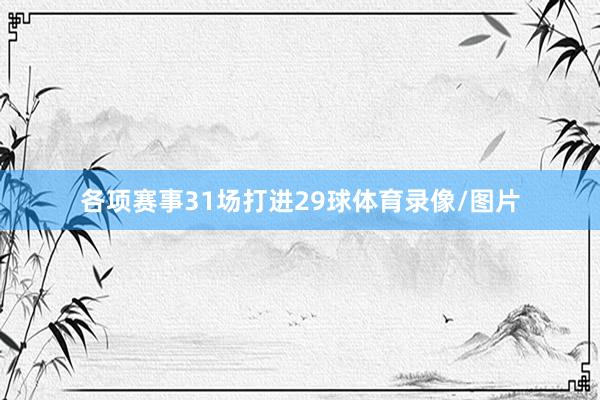 各项赛事31场打进29球体育录像/图片
