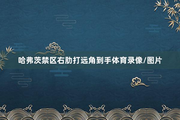 哈弗茨禁区右肋打远角到手体育录像/图片