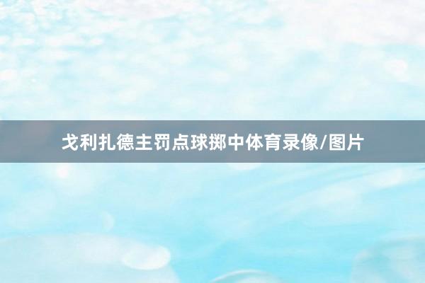 戈利扎德主罚点球掷中体育录像/图片