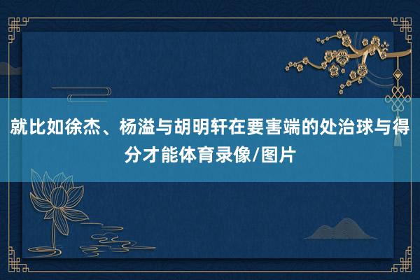 就比如徐杰、杨溢与胡明轩在要害端的处治球与得分才能体育录像/图片