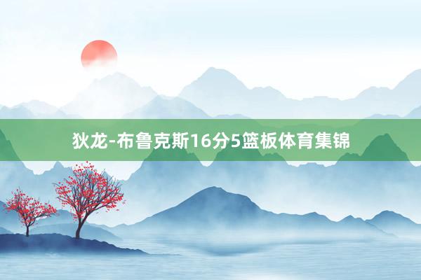 狄龙-布鲁克斯16分5篮板体育集锦